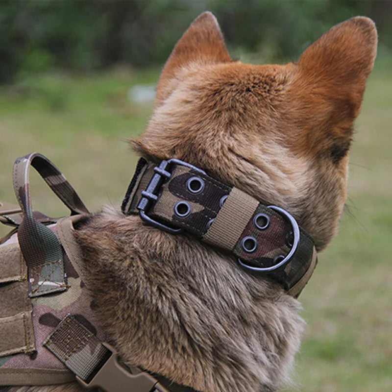 HeavyDuty Tactical Dog Collar – Durable, Secure & Comfortable