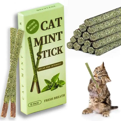 MintStick - Teeth Cleaning Cat Toys